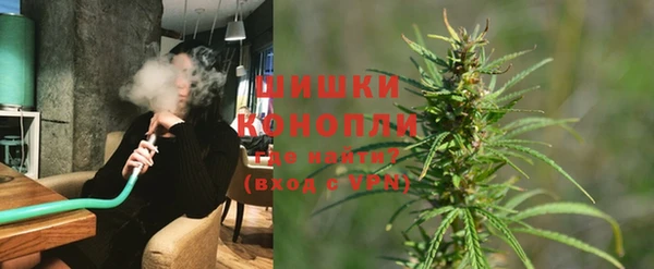 PSILOCYBIN Горно-Алтайск