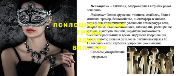 Альфа ПВП Горнозаводск
